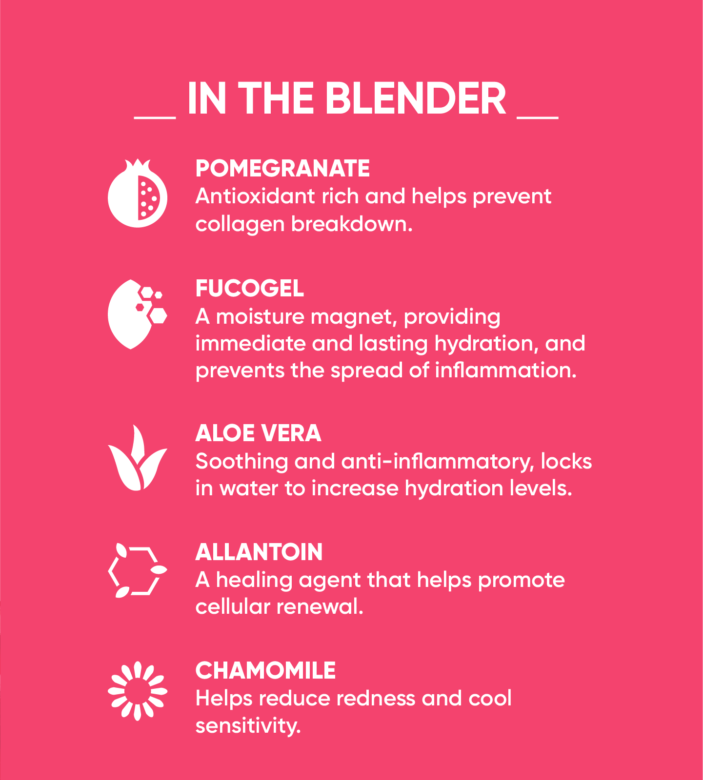 Bio Juice Hydrating Skin Drink